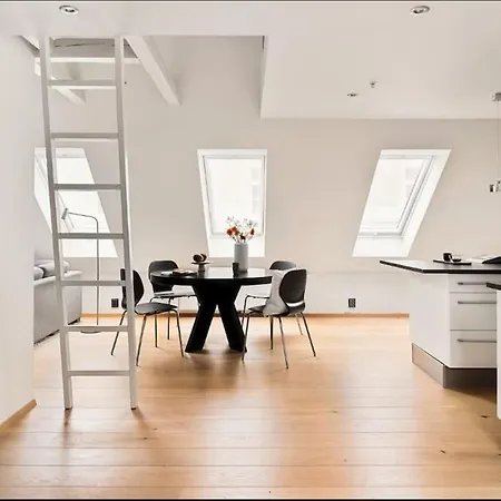 Flott Og Stor Midt I Sentrum Apartment